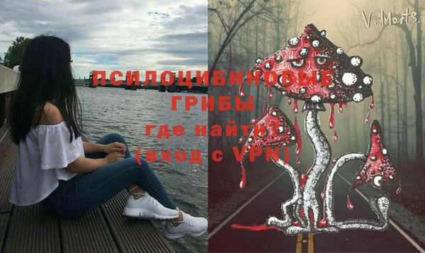 ПСИЛОЦИБИНОВЫЕ ГРИБЫ Аркадак