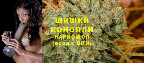 ПСИЛОЦИБИНОВЫЕ ГРИБЫ Аркадак