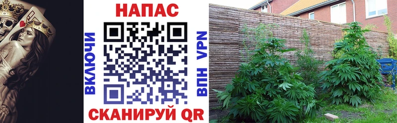KRAKEN ONION Тейково Канабис Ganja